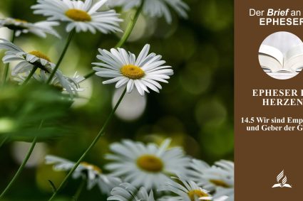 Lektion 14.Epheser im Herzen | 14.5 Wir sind Empfänger und Geber der Gnade