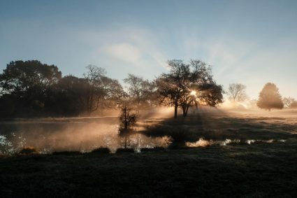 💧DIE STILLE INTELLIGENZ DES KÖRPERS | ☀️ 1.3 Warum Licht mehr Einfluss hat als Nahrung
